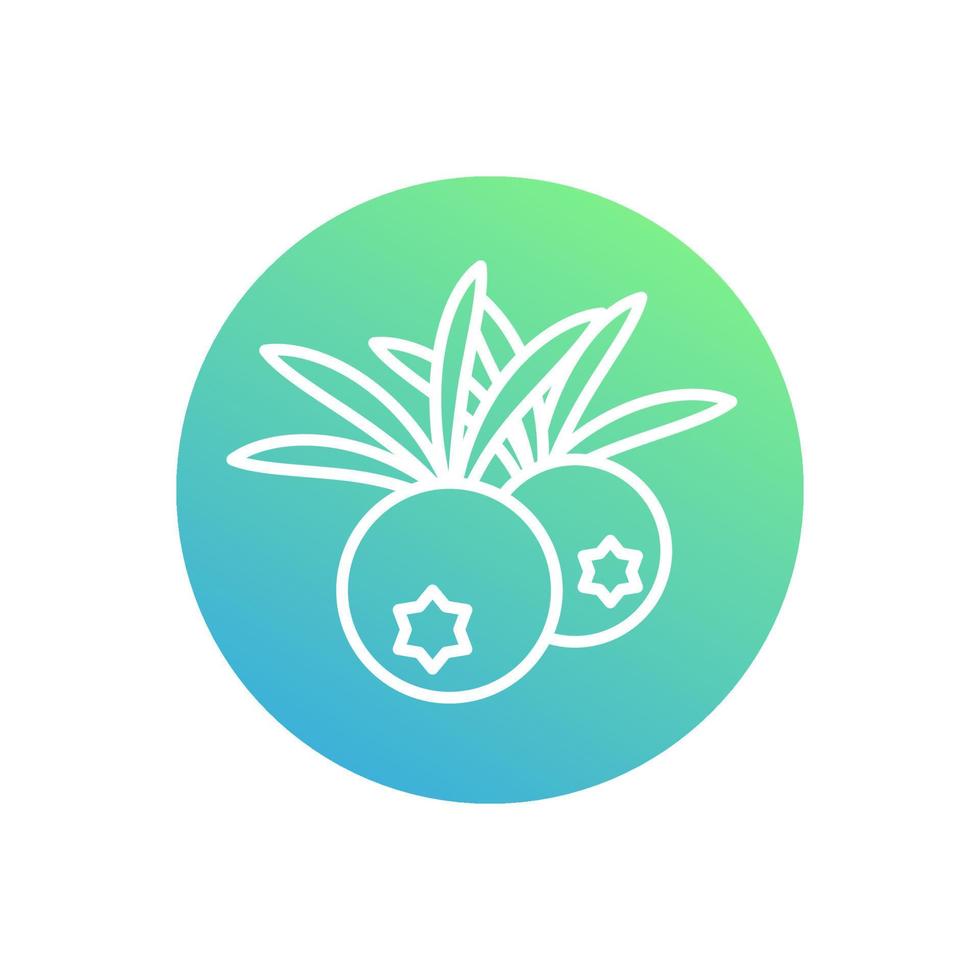 Icono de línea de bayas de enebro, alimentos saludables y orgánicos vector