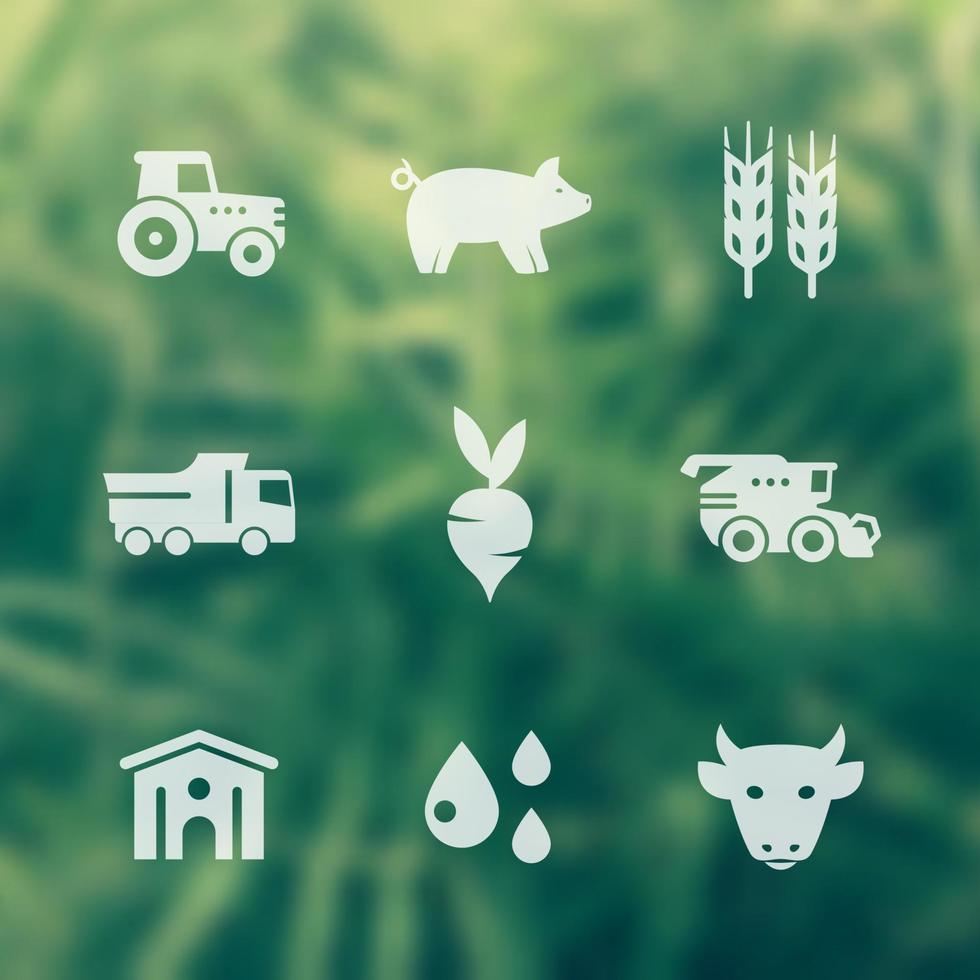 Agriculture, farming icons, harvest, cattle, pigs, hangar, agrimotor, grain combine harvester vector