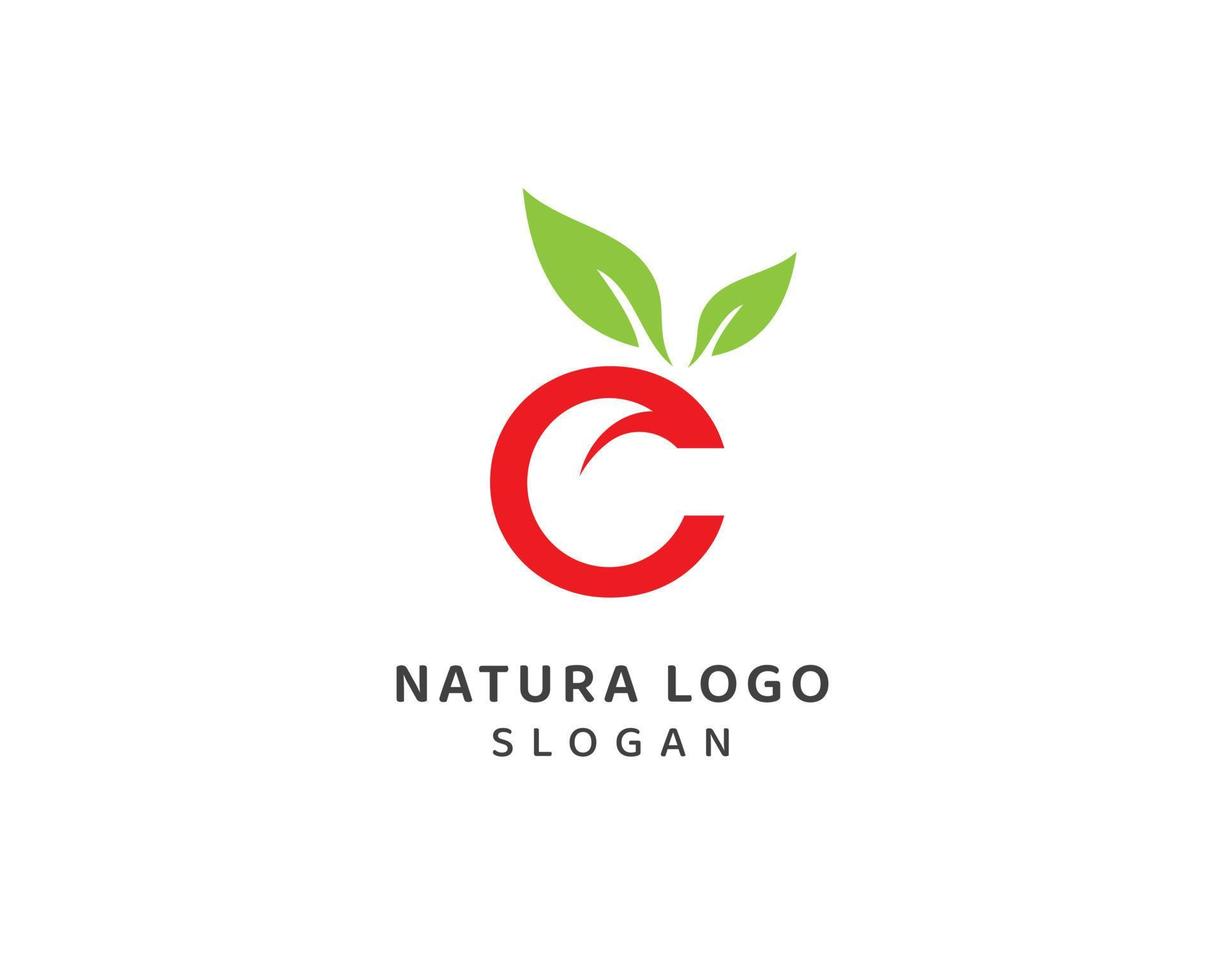 hoja natural abstracta, logotipo de letra c natural, diseño de vector de letra c minúscula