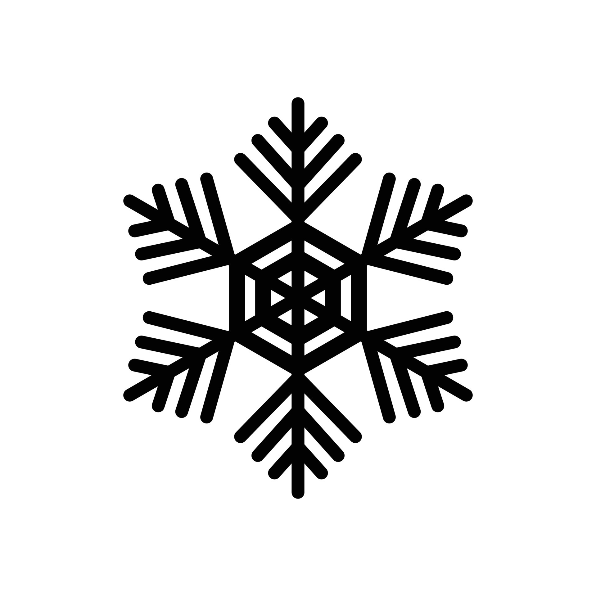 Snowflakes. Snowflake icon. Snowflake vector design illustration