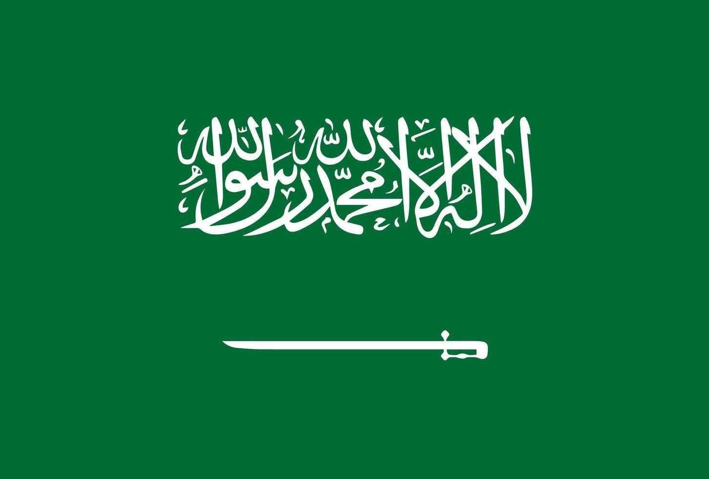 Saudi Arabia flag vector icon in official color and proportion correctly