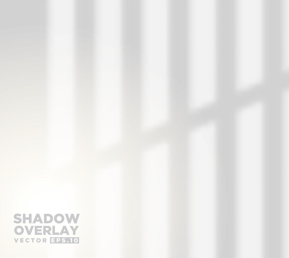 Realistic shadow overlay effect of room window pane vector