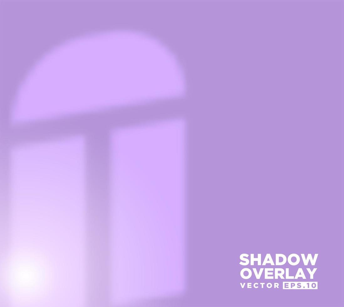 Realistic shadow overlay effect of room window pane vector