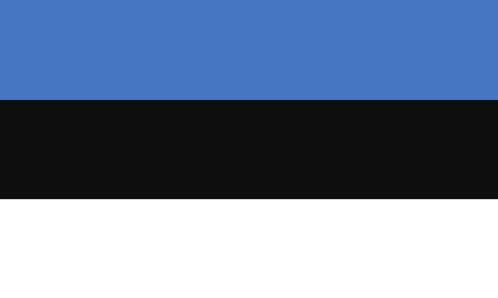 Republic of Estonia flag vector icon in official color and proportion correctly