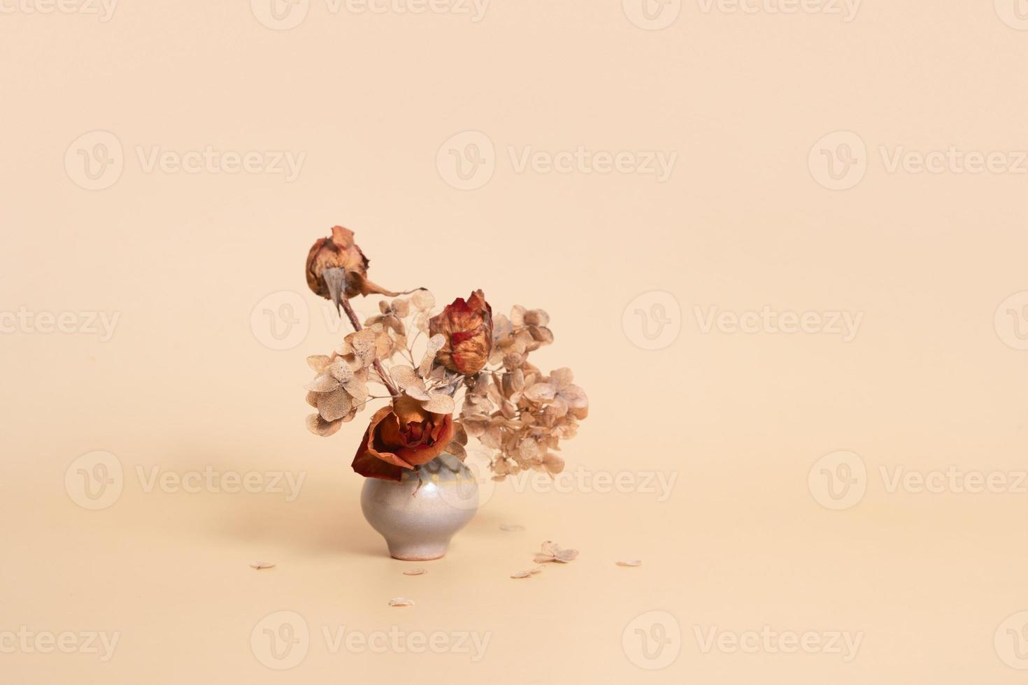 Miniature vase with dried flowers with copy space. Still life monochrome minimalist neutral color concept photo