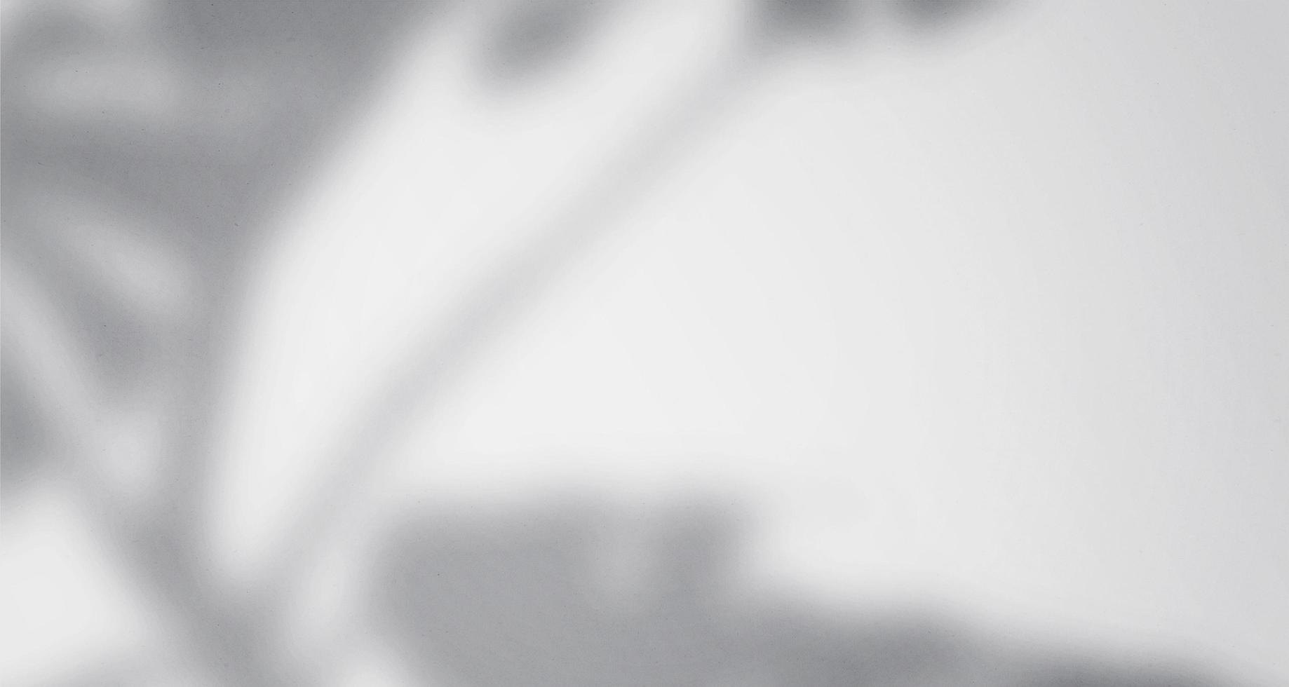 ventanas de luz natural borrosas realistas y minimalistas, superposición de sombras de hojas en la textura del papel de pared, fondo abstracto, verano, primavera, otoño para el podio de presentación del producto y maqueta estacional foto