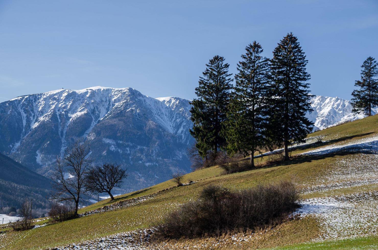 green hills and trees photo