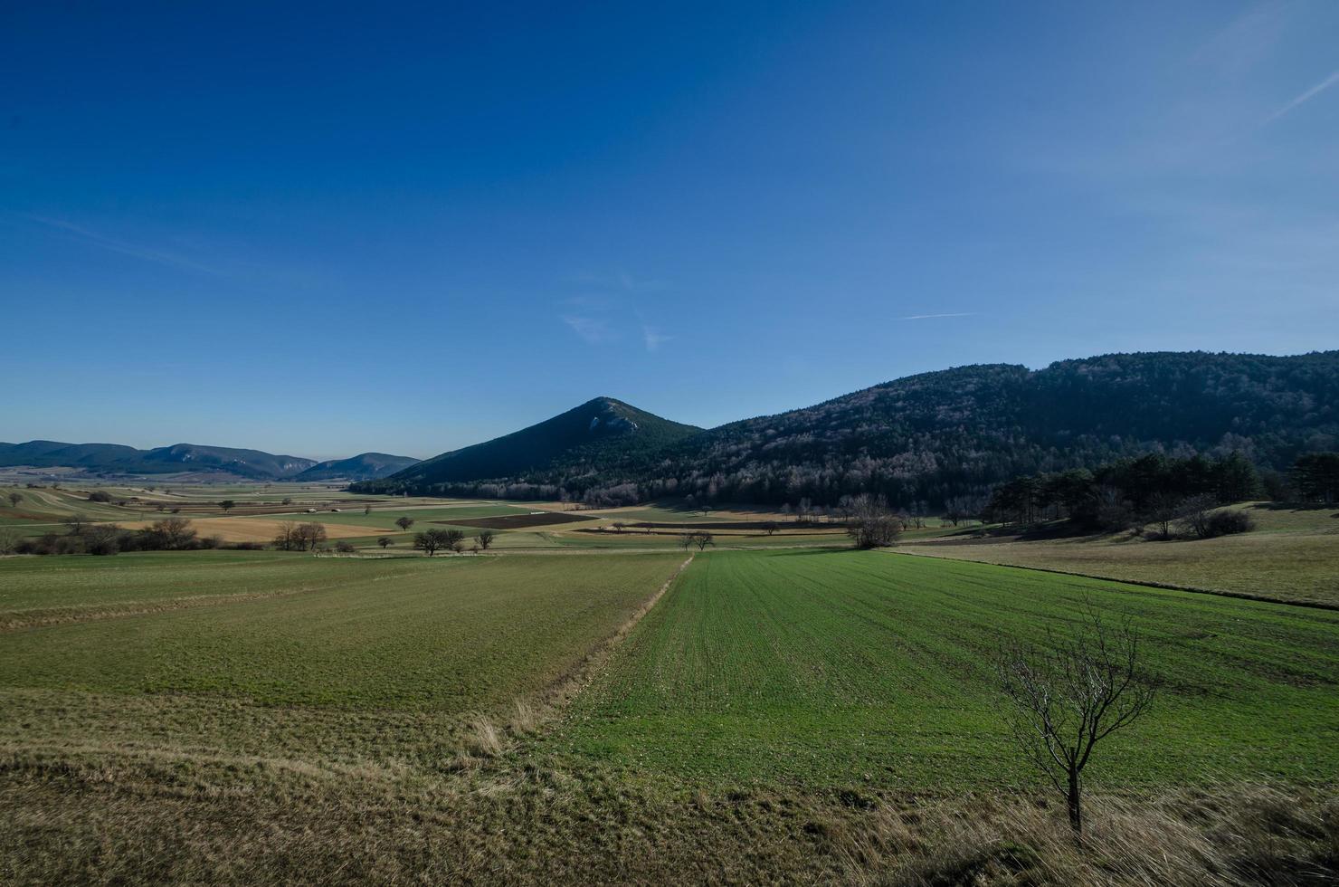 green wide landscape photo