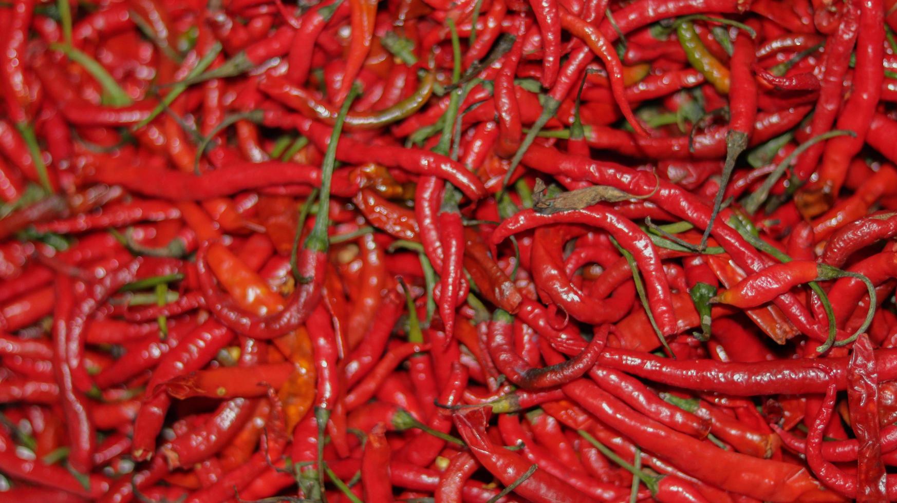 chiles rojos de cerca, chile rojo en el supermercado foto