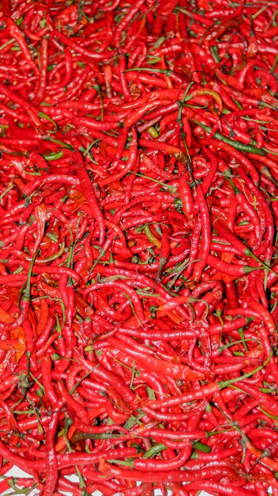 Red chili peppers close up, red chili in the supermarket photo