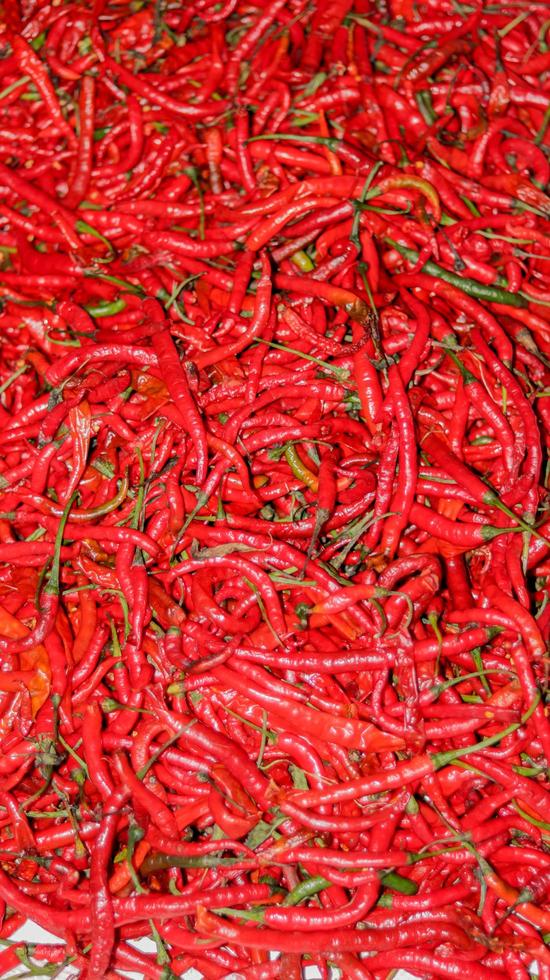 chiles rojos de cerca, chile rojo en el supermercado foto