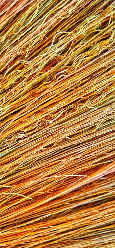 Colorful abstract broom straw texture. Grunge texture of dry straw background design. Suitable for promotion, poster, wallpaper, presentation, agriculture, advertising of company and industry. photo