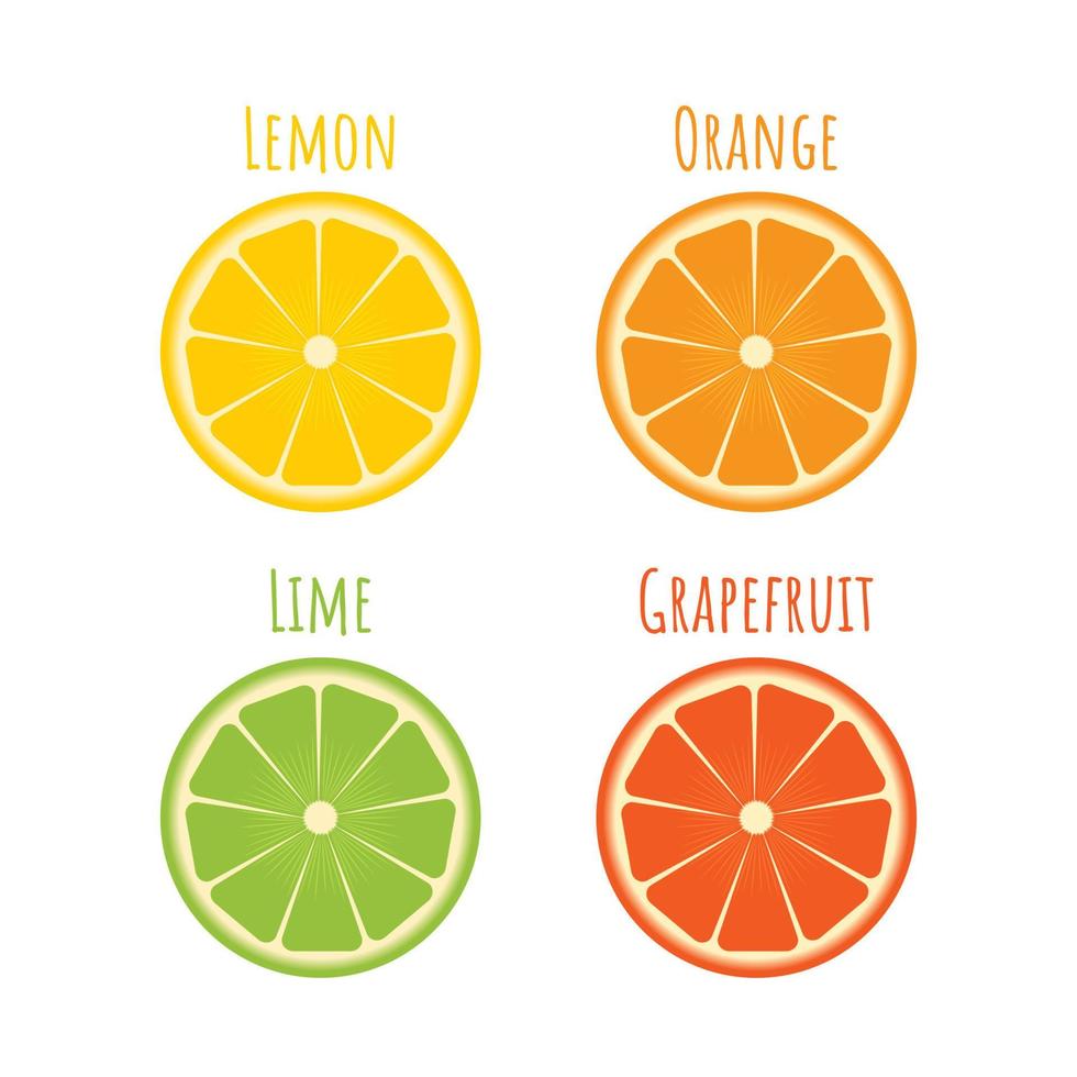conjunto de iconos de cítricos en estilo plano. rodajas de naranja, lima, limón, pomelo aislado en blanco. ilustración vectorial de frutas frescas. el concepto de dieta, alimentación saludable y nutrición. vector
