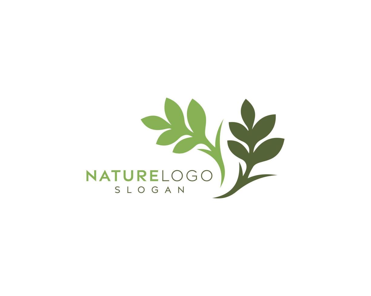 diseño de logotipo vectorial de hoja fresca-vector de hoja verde-diseño de logotipo colorido-diseño de logotipo vectorial de color verde natural ecológico vector