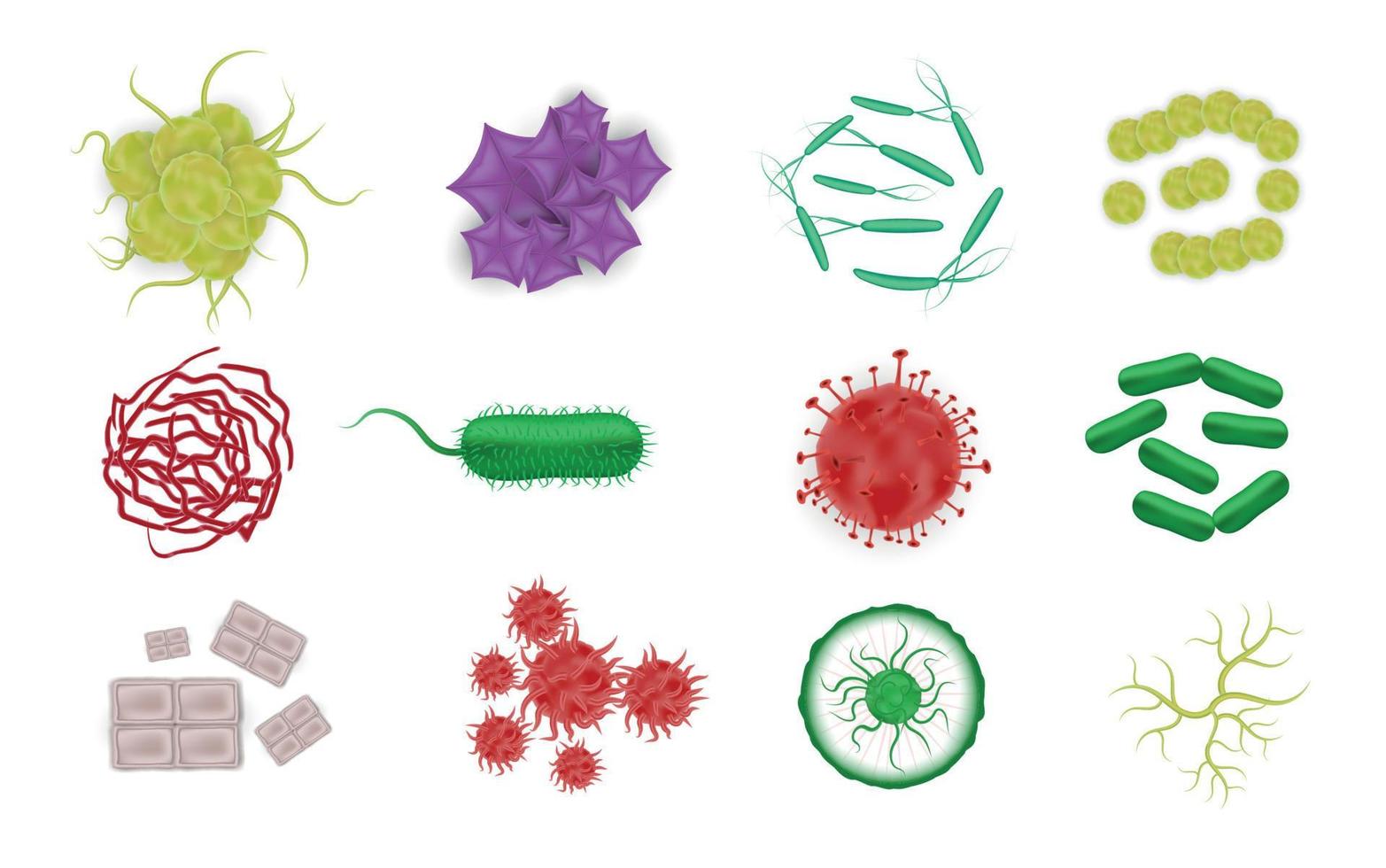 bacterias formas iconos realistas vector