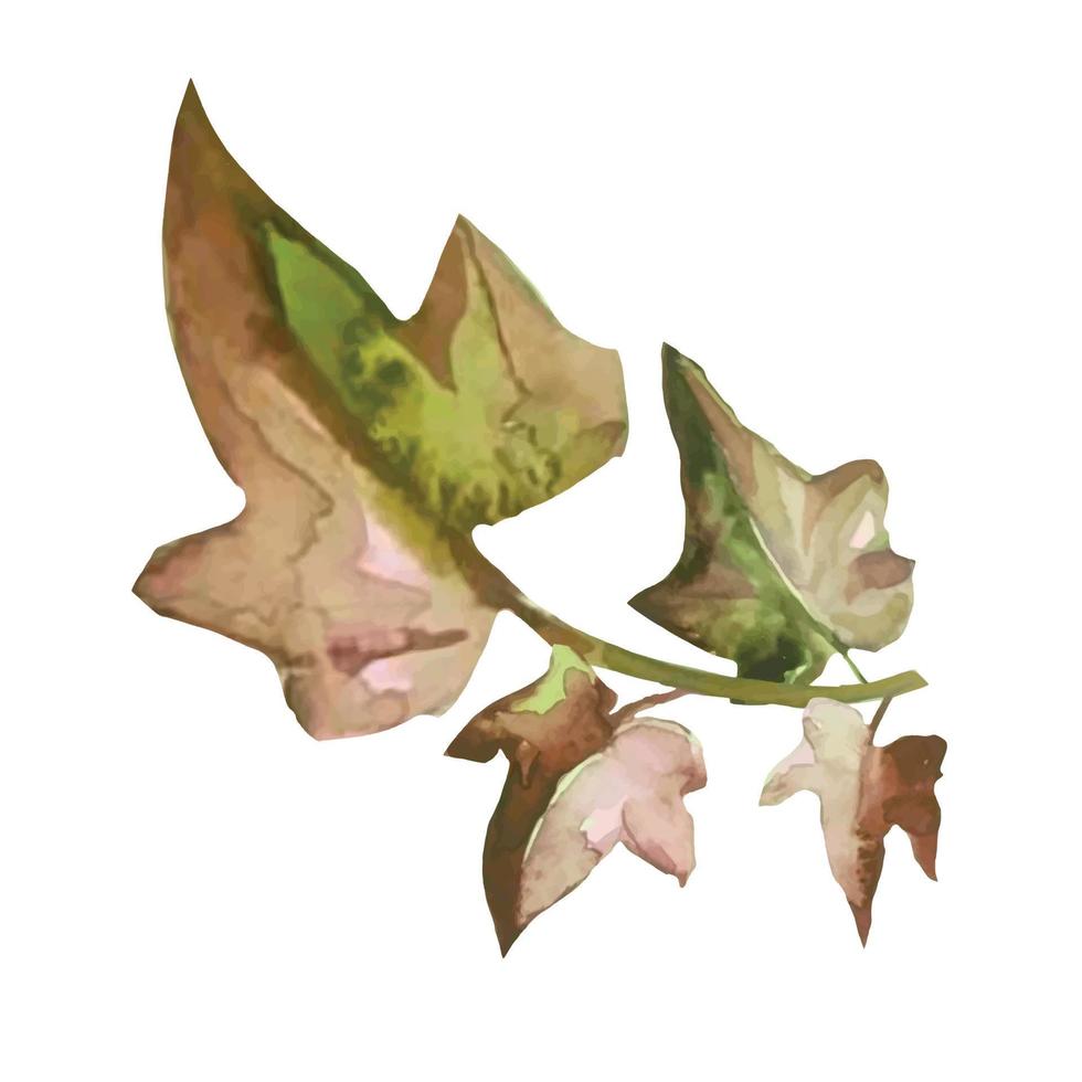 planta de hiedra con hojas muertas en ramas, tejiendo ilustración de vector de planta de otoño