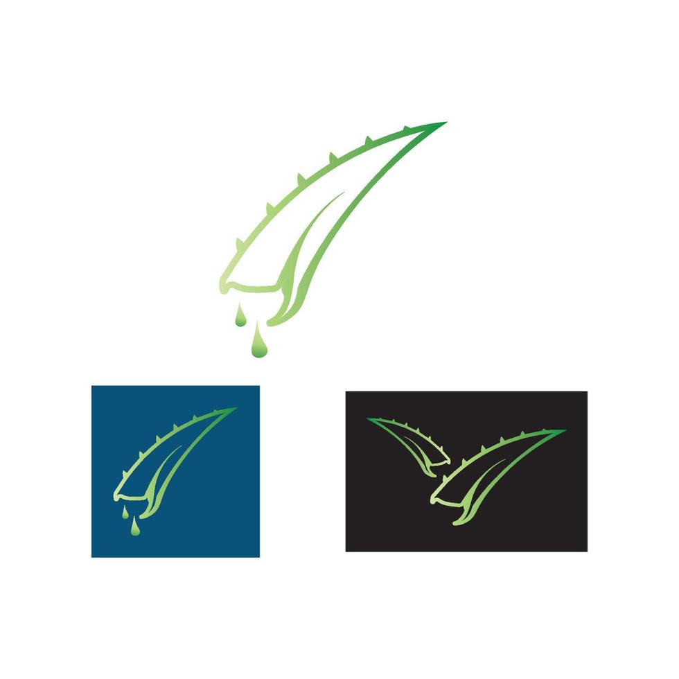 aloe vera logo design icon vector