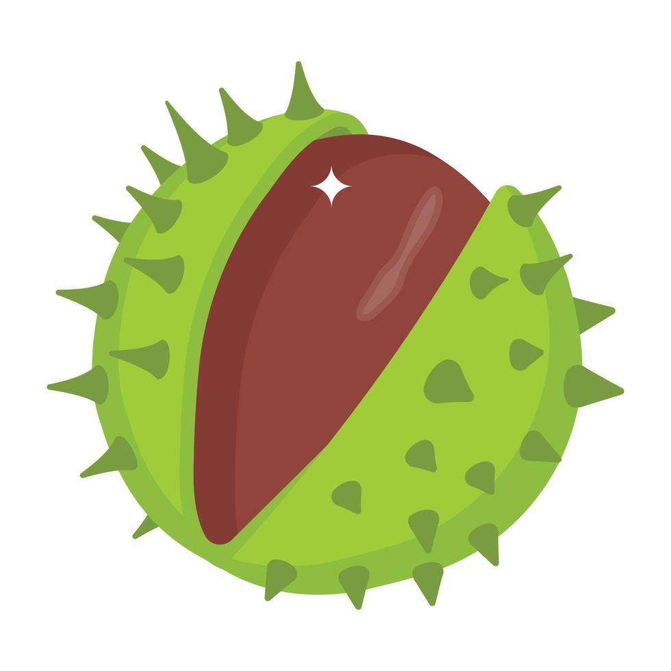 Water nut, isometric icon of chestnut vector