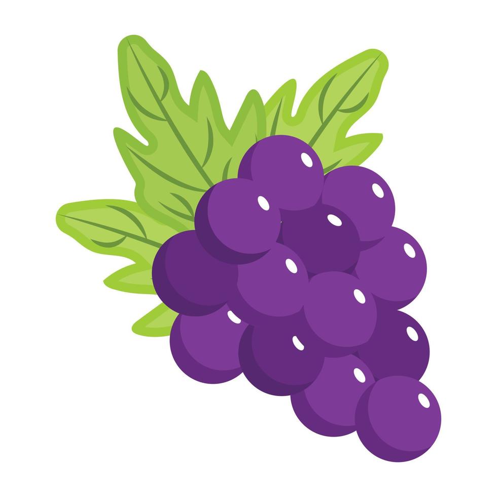 un delicioso ícono isométrico de uvas vector