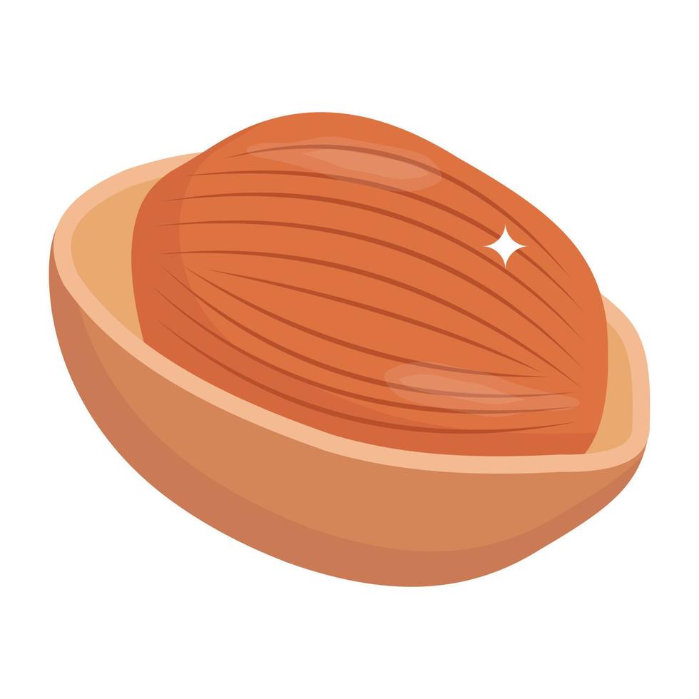 A scalable isometric icon of macadamia vector