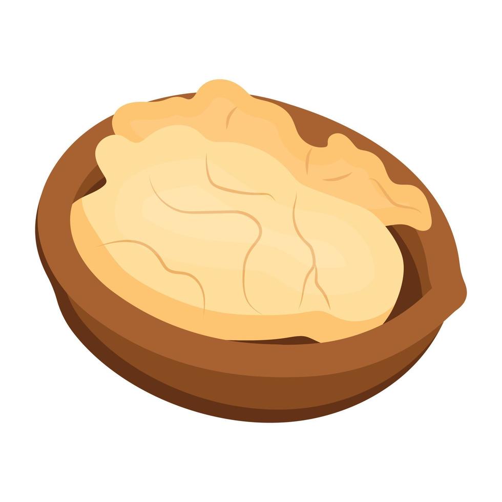 Ready to use isometric icon of walnut vector