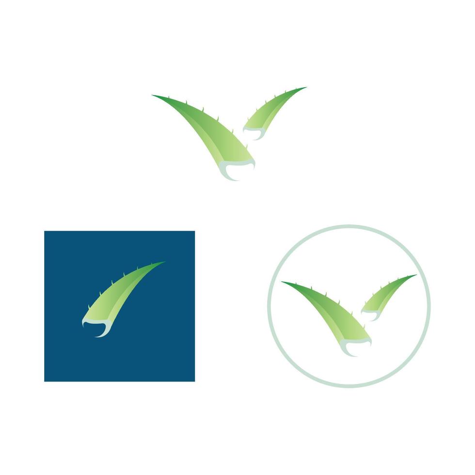 aloe vera logo design icon vector