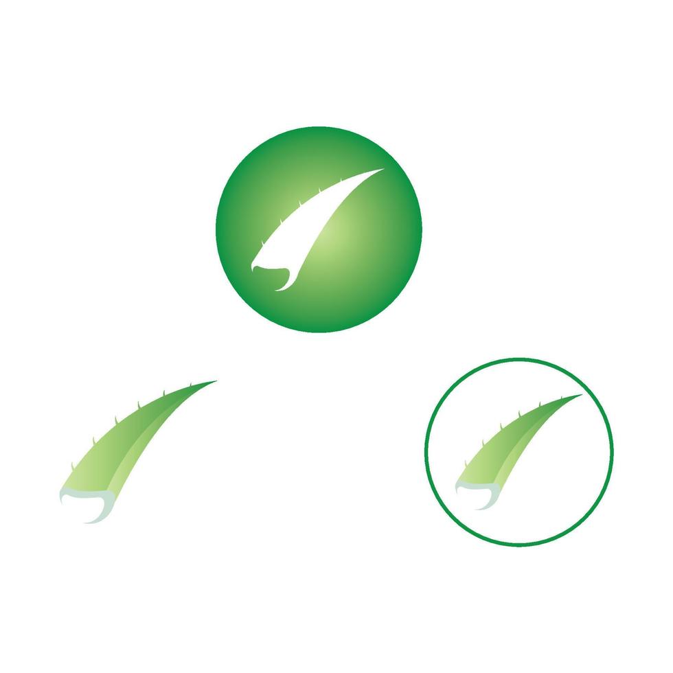 aloe vera logo design icon vector