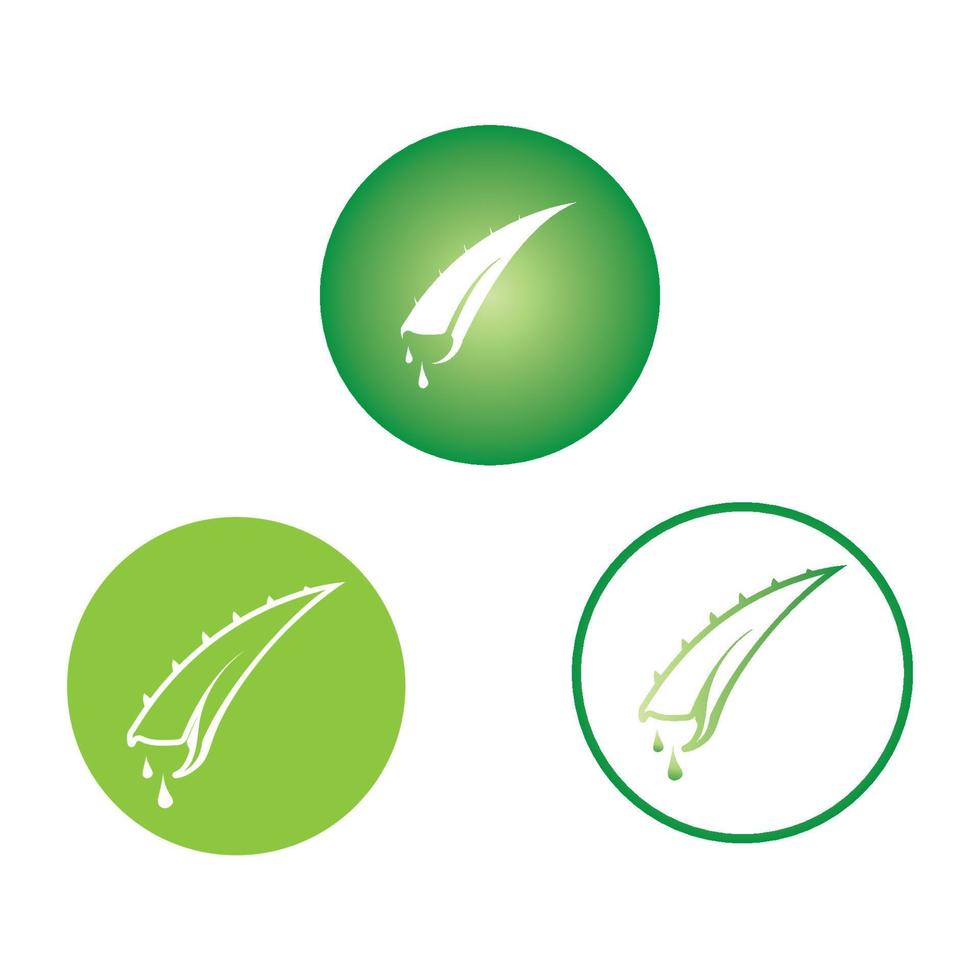 aloe vera logo design icon vector