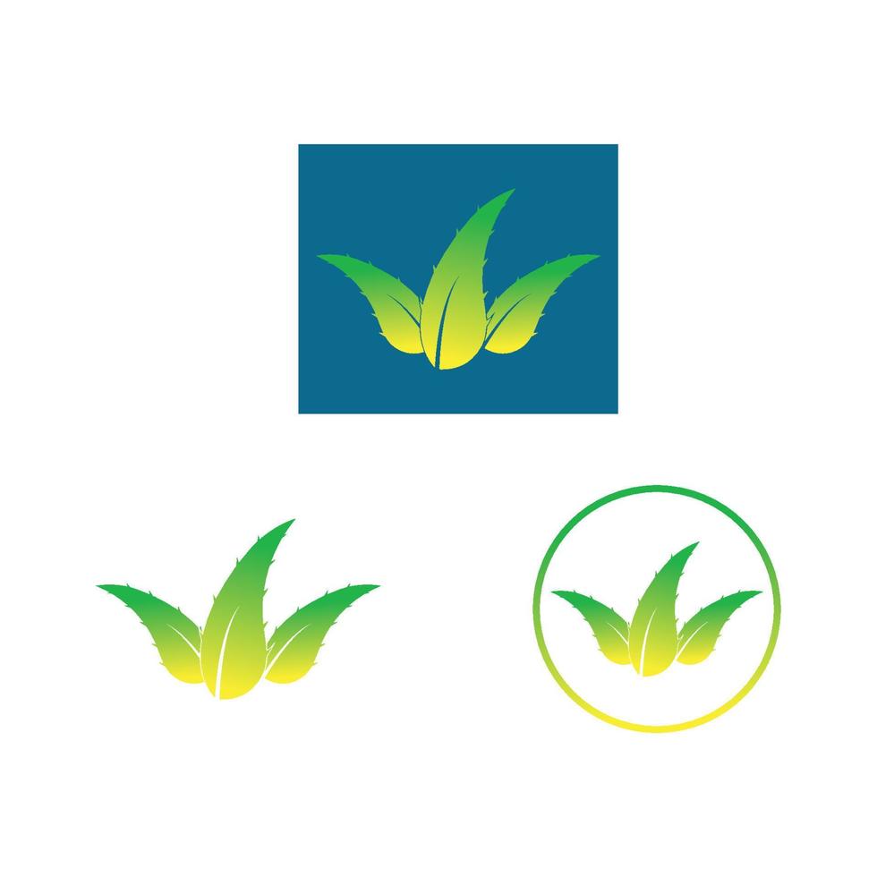 vector de icono de diseño de logotipo de aloe vera