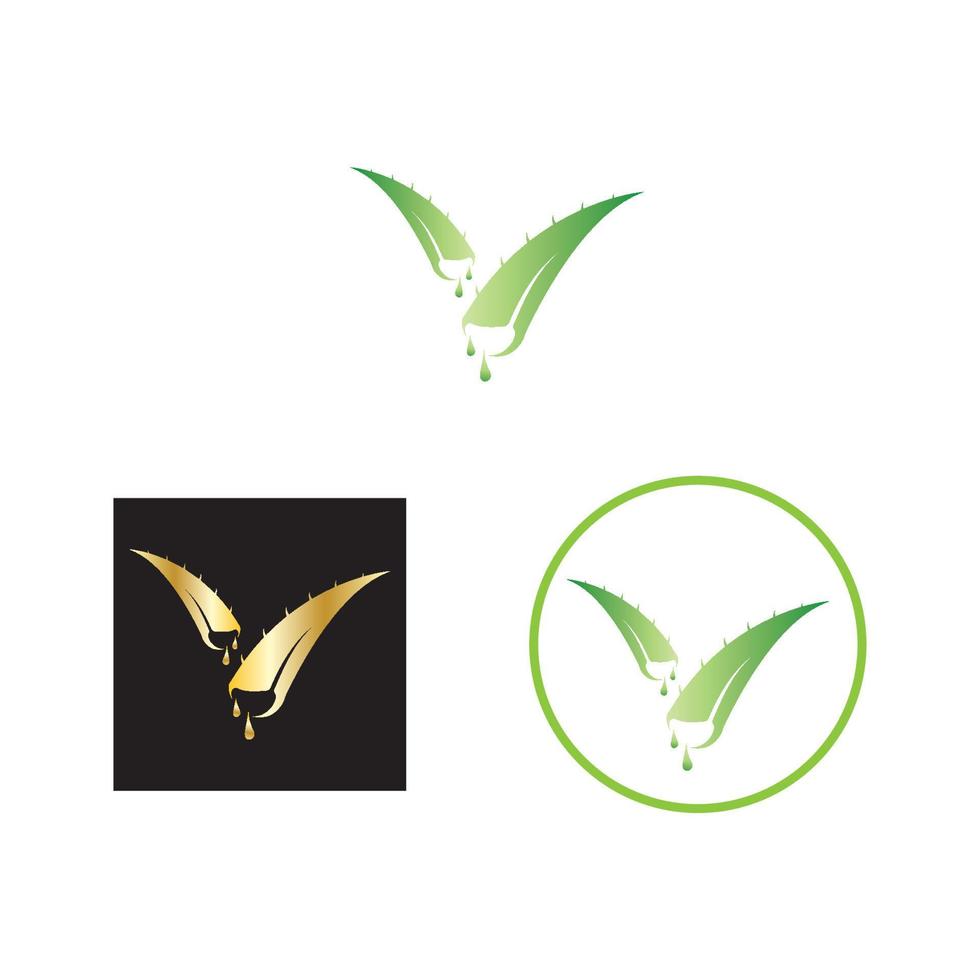 vector de icono de diseño de logotipo de aloe vera