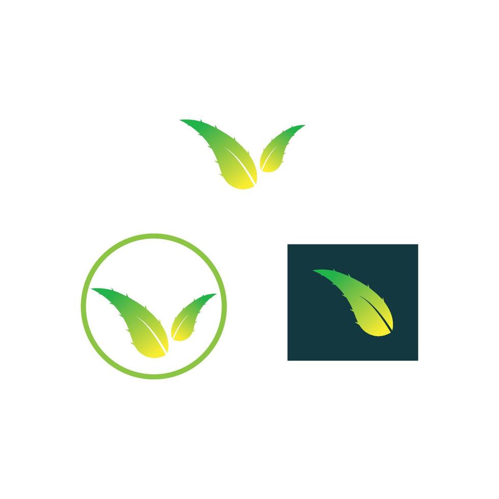 aloe vera logo design icon vector