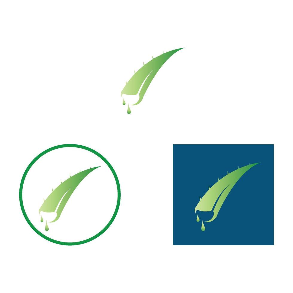 aloe vera logo design icon vector