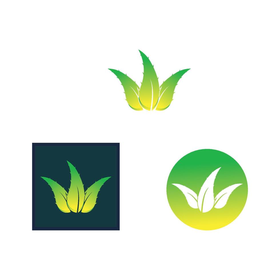 vector de icono de diseño de logotipo de aloe vera