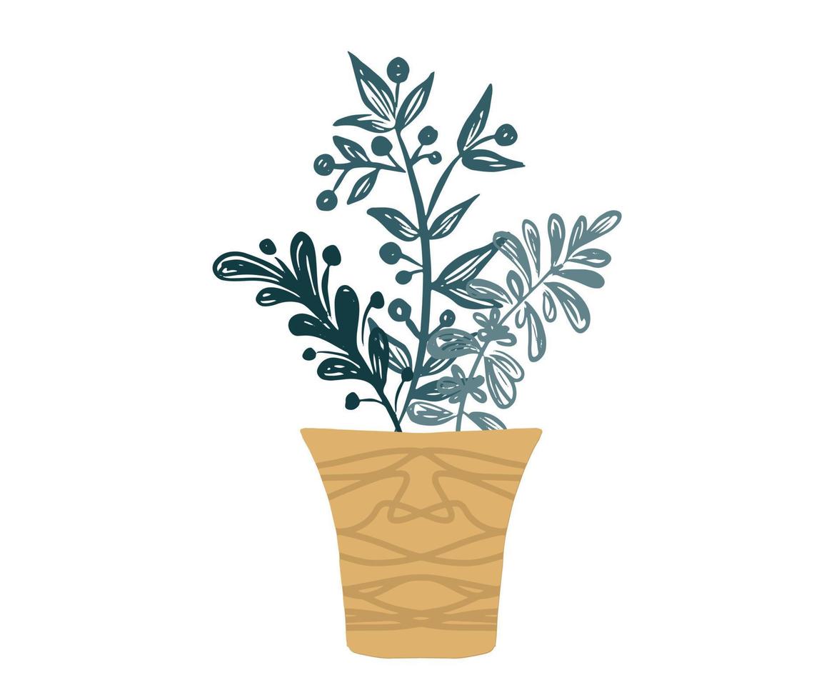 Home decor with plants, hand drawn illustration. vector