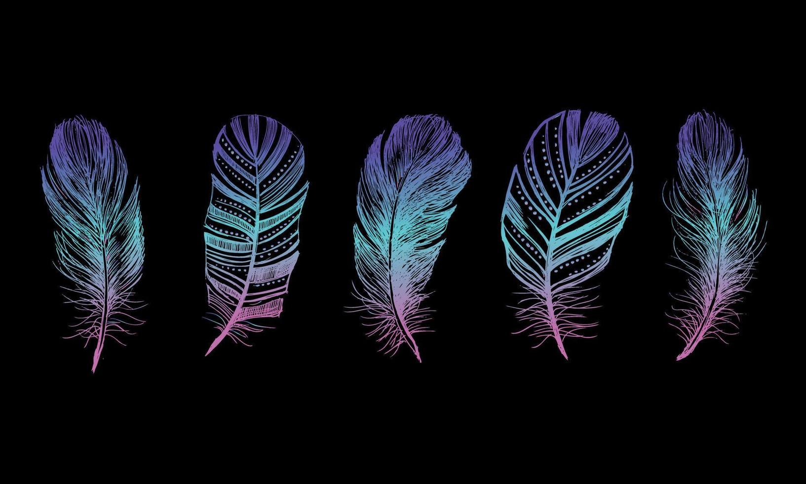Feather Pattern hand drawn, vector. vector