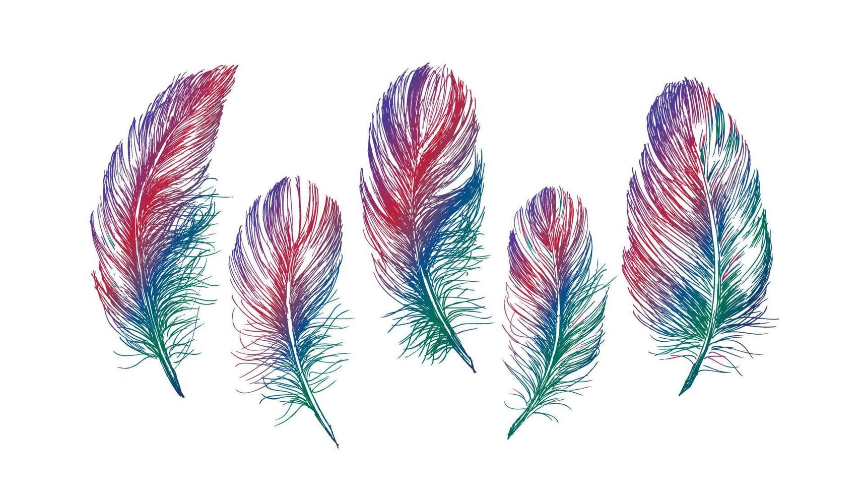 Feather Pattern hand drawn, vector. vector