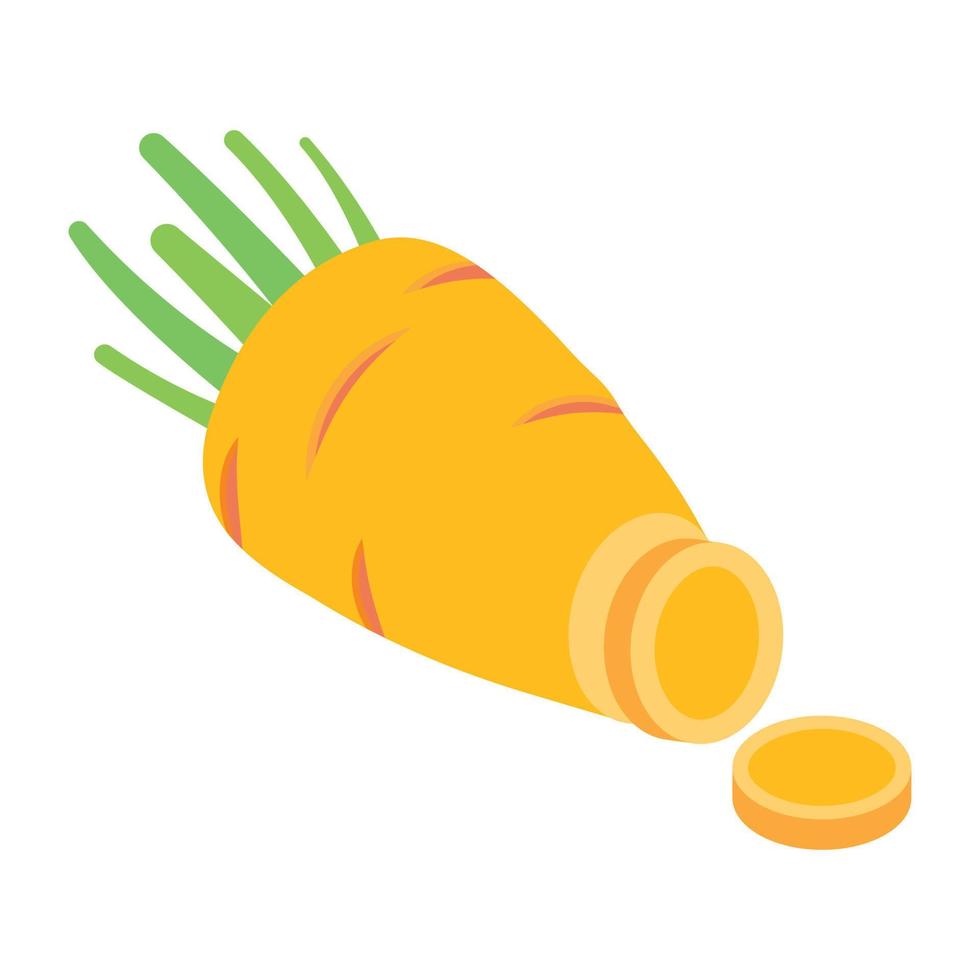 un ícono isométrico bien diseñado de zanahoria vector
