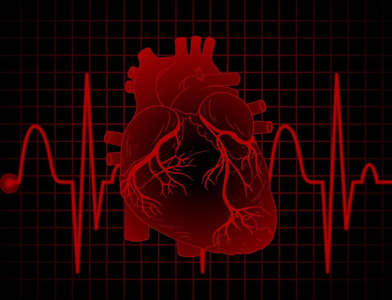 latido del corazón con gráfico de frecuencia cardíaca vector