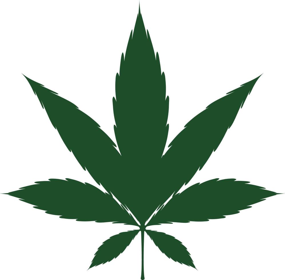 Single cannabis leaf in green color vector