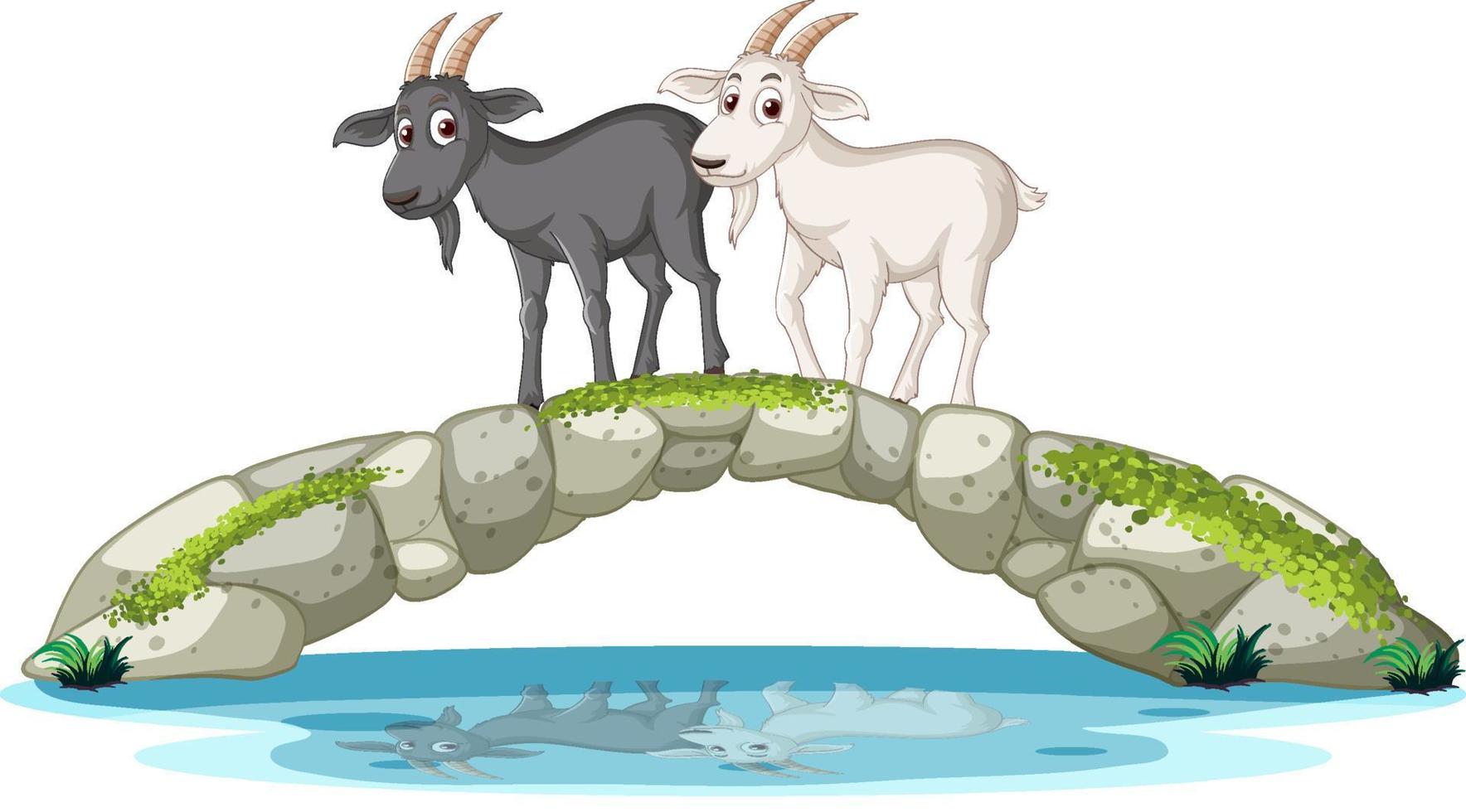 Black and white goats standing on stone bridge vector