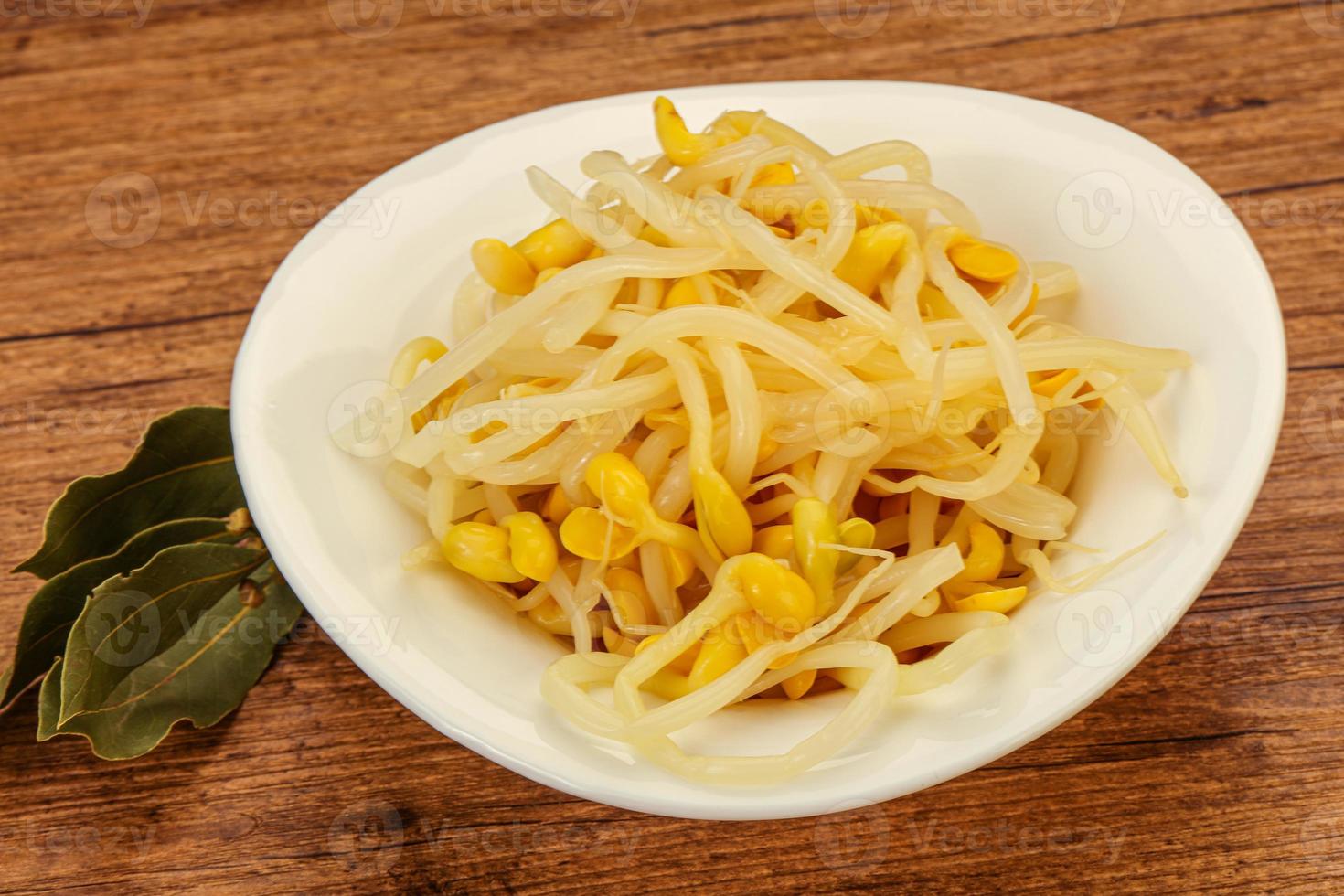Soy sprout heap in the bowl photo