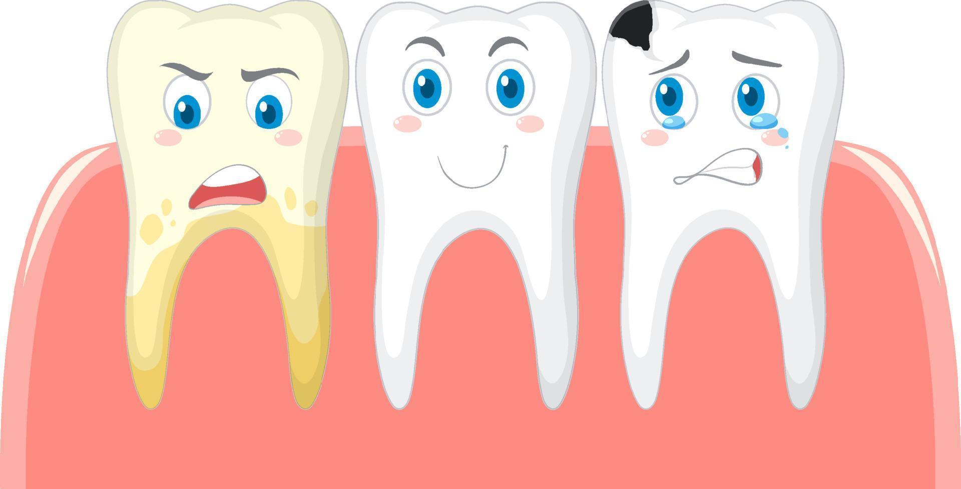 Dental and different teeth condition on white background vector