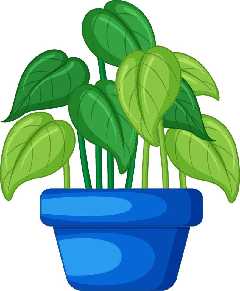 planta en una maceta en dibujos animados vector