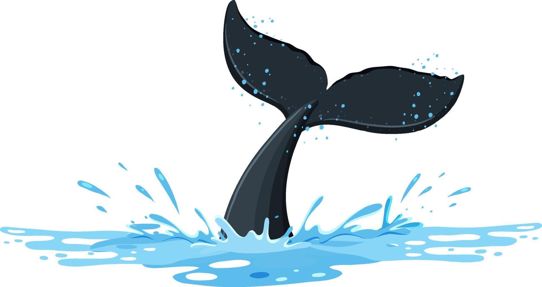 una cola de ballena jorobada sobre el agua vector