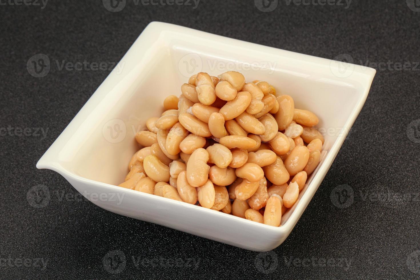 White beans kidney in the bowl photo