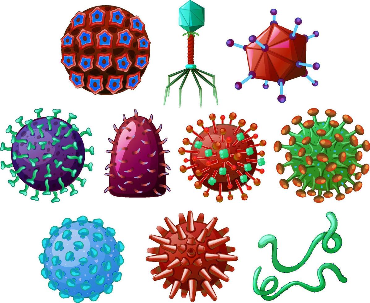 conjunto de diferentes virus vector
