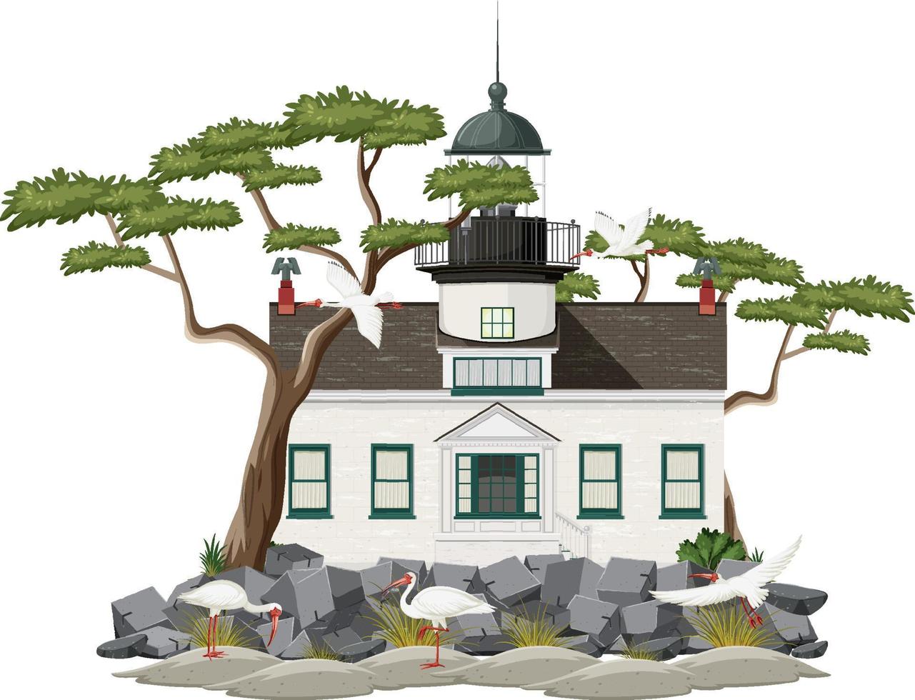 Lighthouse building with American white ibis vector
