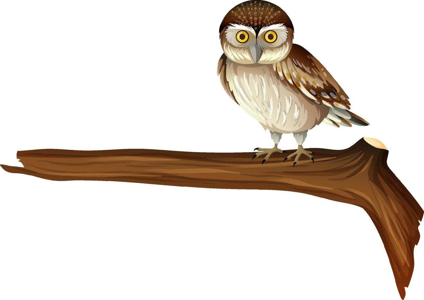 Owl standing on tree branch in cartoon style vector