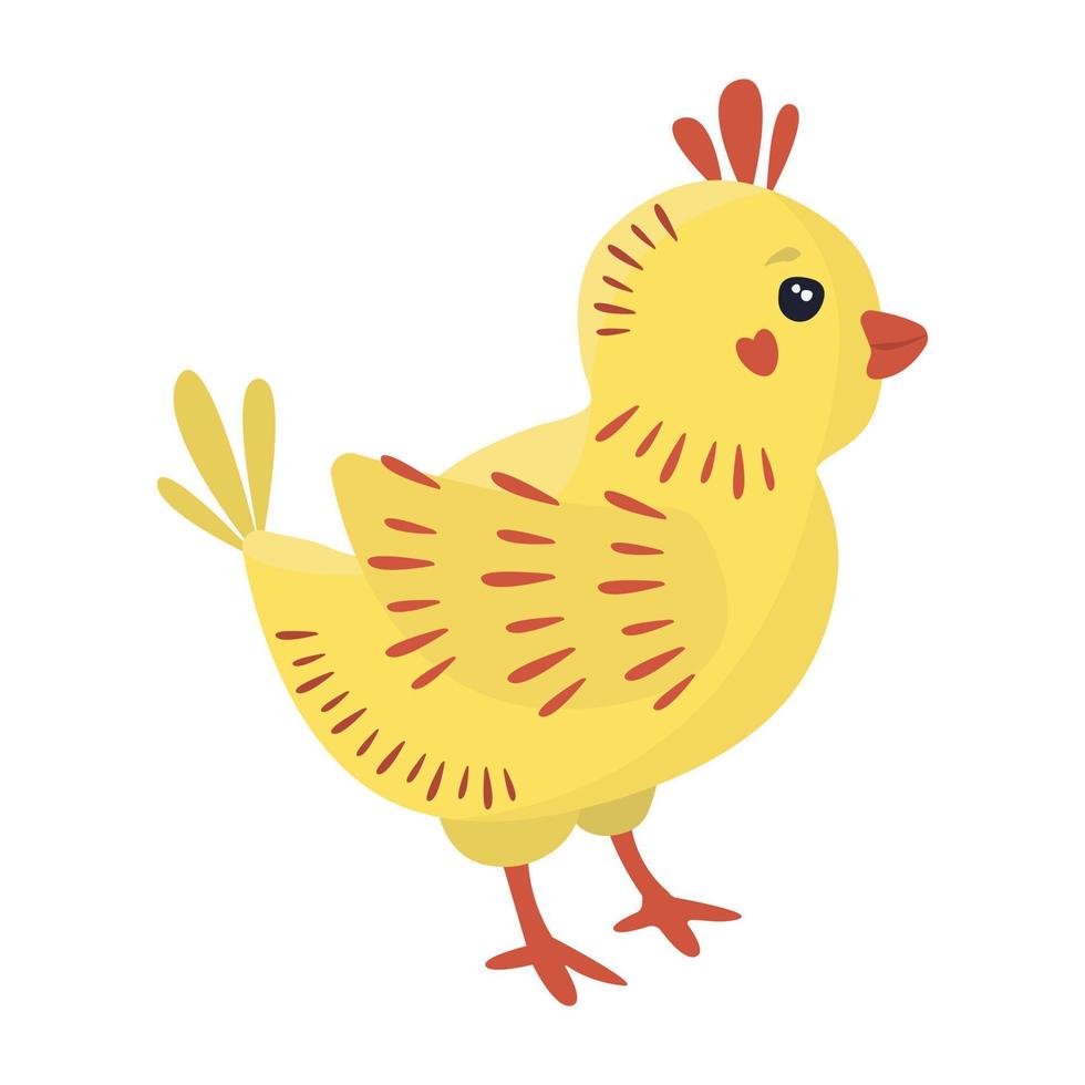 pollito adulto, ilustración vector