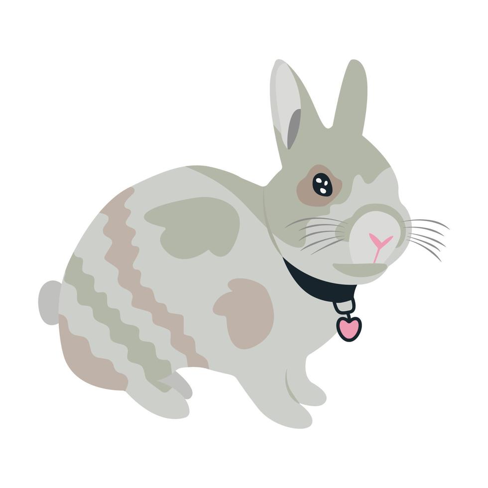 lindo conejo, ilustración vector